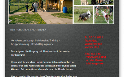 Hundeschule Teamtraining Bremen web 1.0